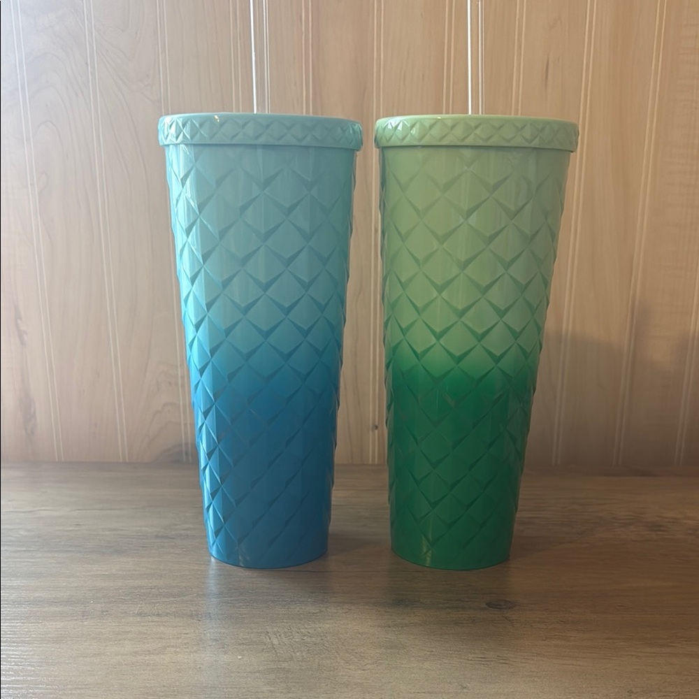Gradient Tumbler Set - Blue and Green